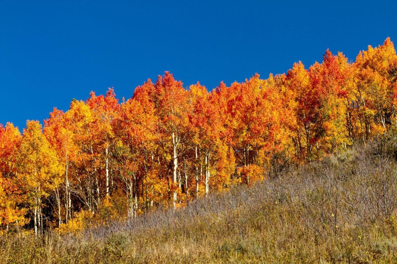 Mountainside Cozy Walk To Gondola Hot Tub Condo Steamboat Springs Exterior foto