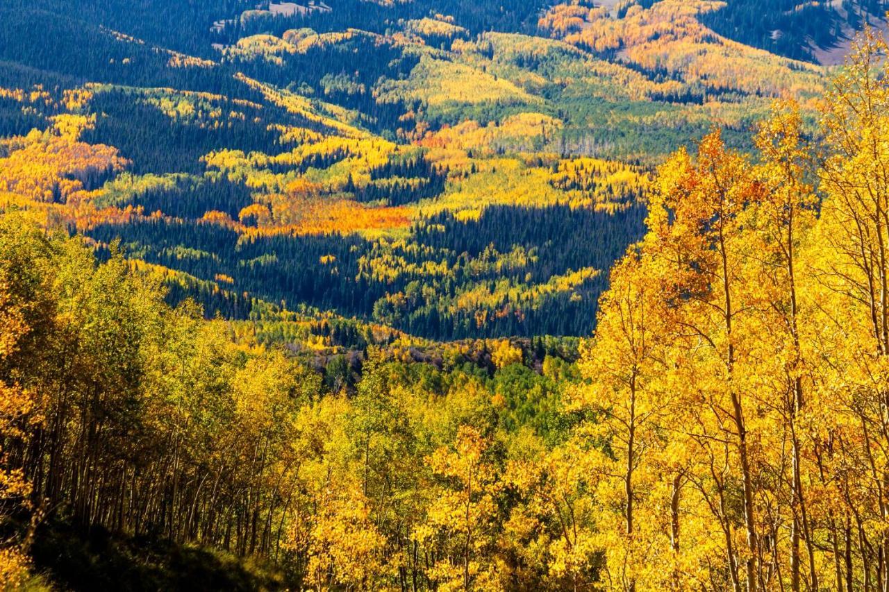 Mountainside Cozy Walk To Gondola Hot Tub Condo Steamboat Springs Exterior foto